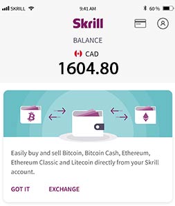 Guide to using Skrill for transactions
